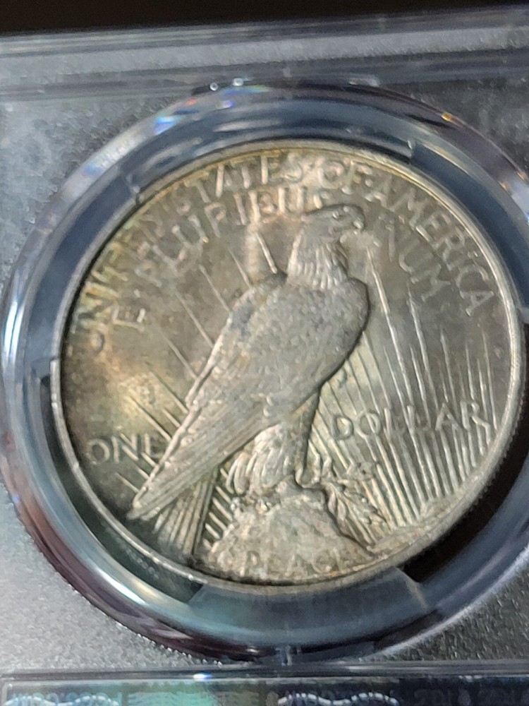 1922 $1 Peace Dollar PCGS MS62 Toned
