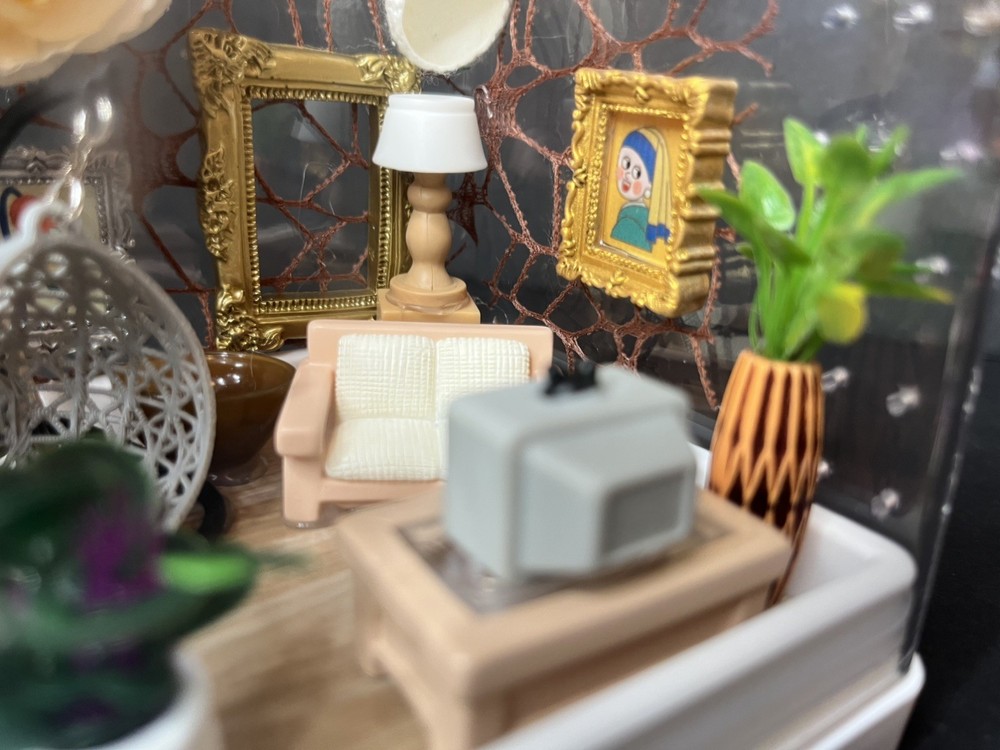 Mini boho living room Jumping Spider Enclosure