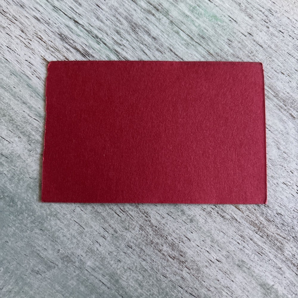 Restricted Naval Aviator Business Card