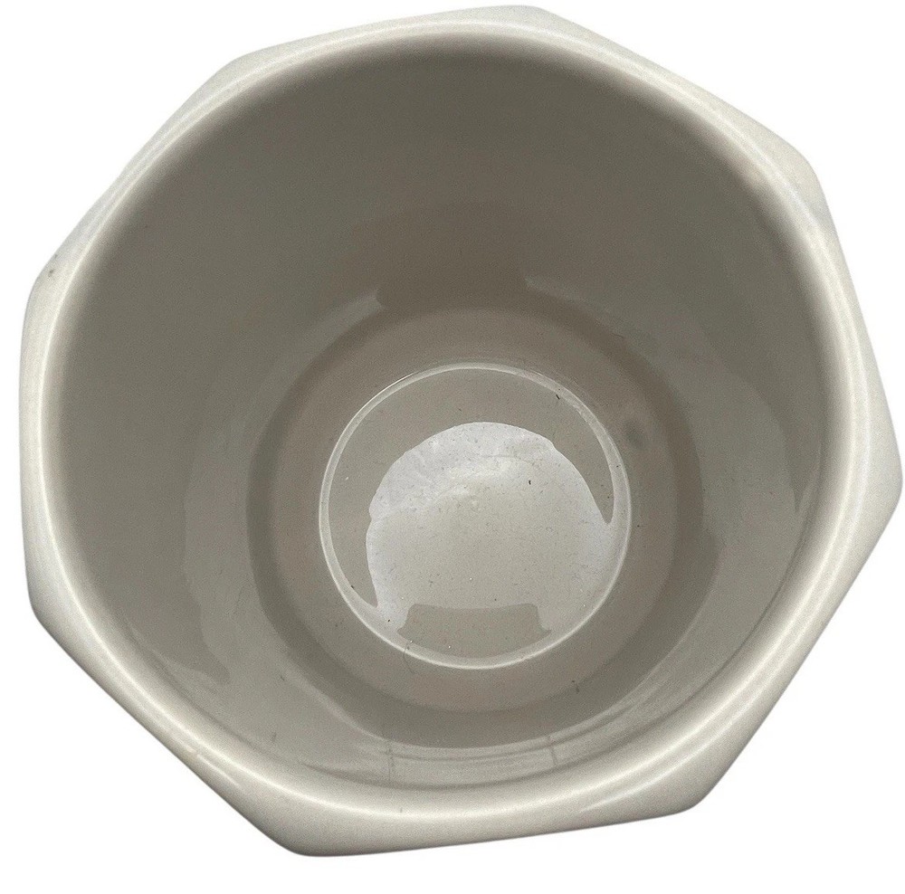 Geometric Phalarnopsis Planter Bright Light Orchid Garden Ceramic