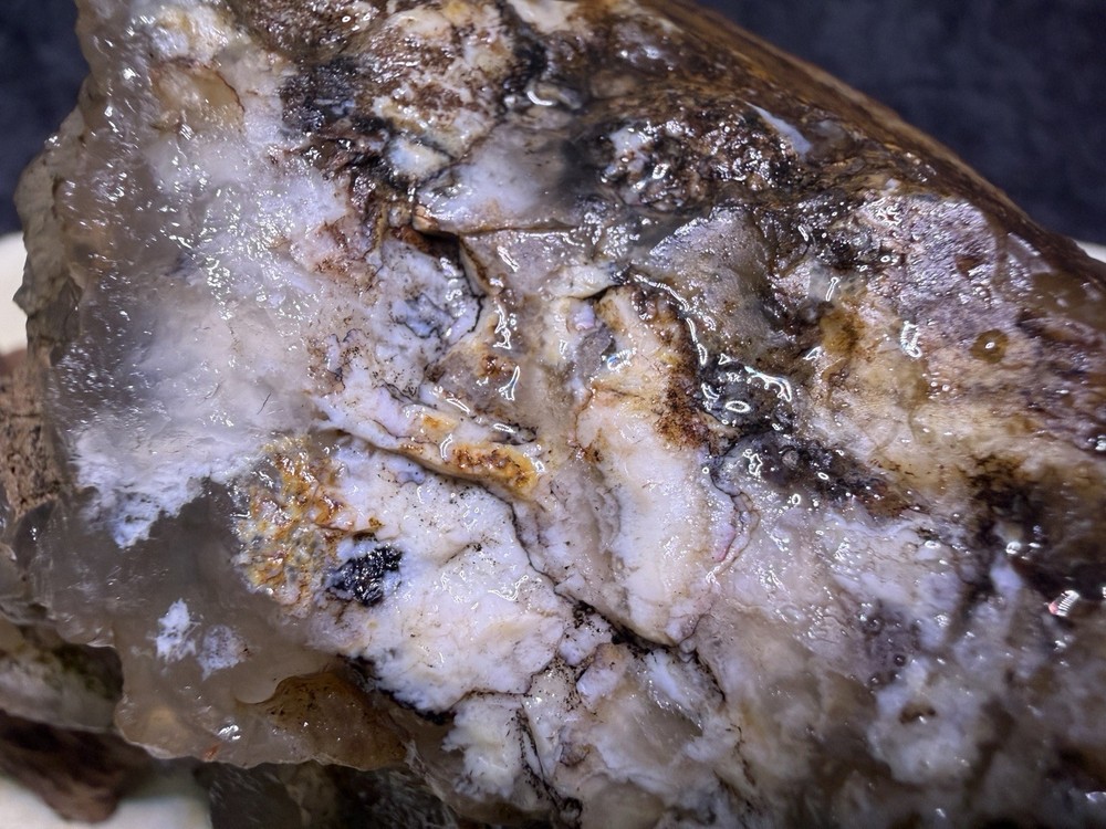 Faced Owyhee Plume Agate Rough, Lot#75