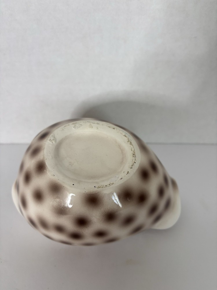 Ceramic Shell-Shaped Planter White Brown Polka Dot Glossy Pottery Decor