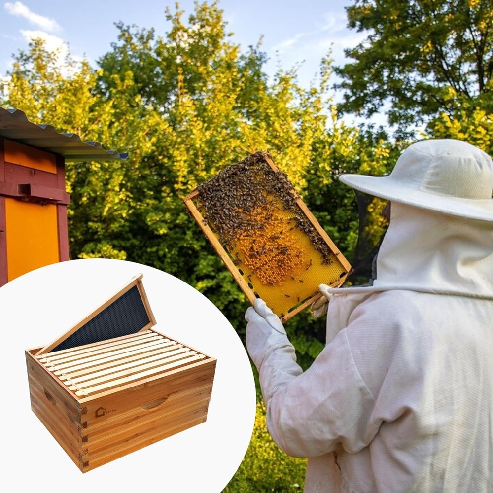 10-Frame Langstroth Deep Beehive Box with Wax-Coated Frames & Foundation Sheets