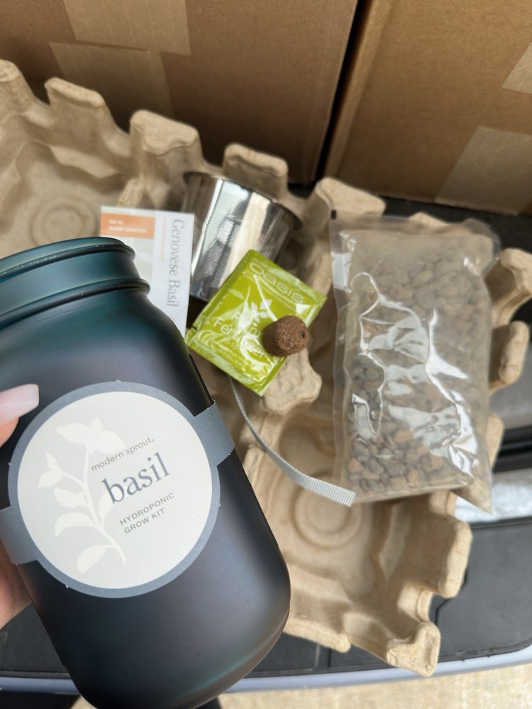 Modern Hydroponic Basil Grow Kit 6 Glass Jars