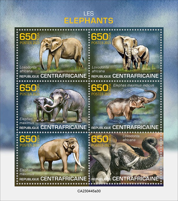 Elephants