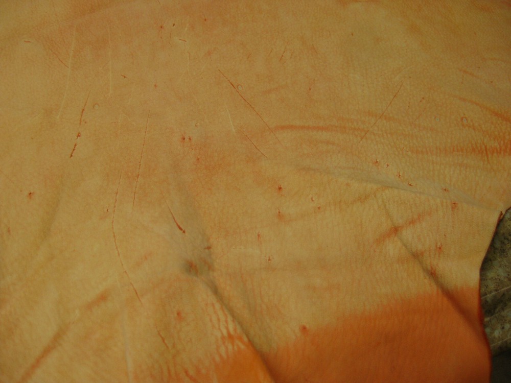 Buffed Deer Leather # 0008663 ROW 4