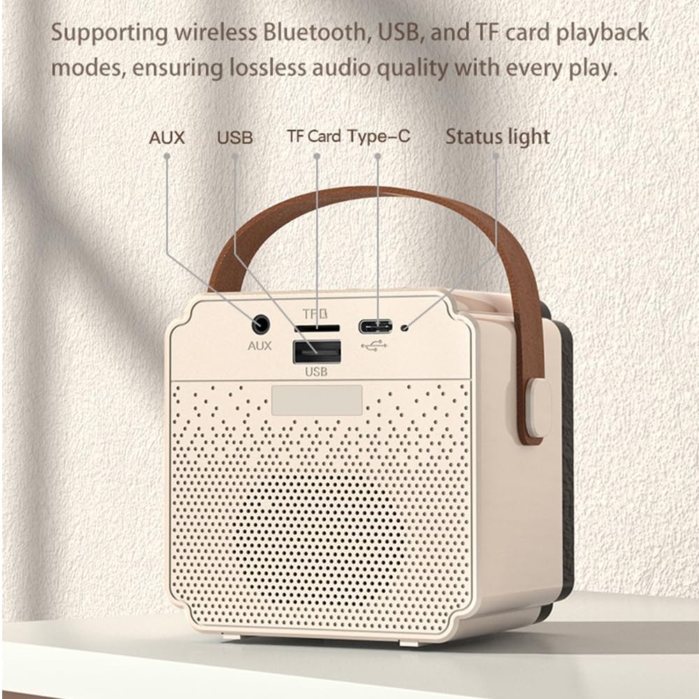 Karaoke Machine, Portable Bluetooth Karaoke Speaker with 2 Wireless Microphon...
