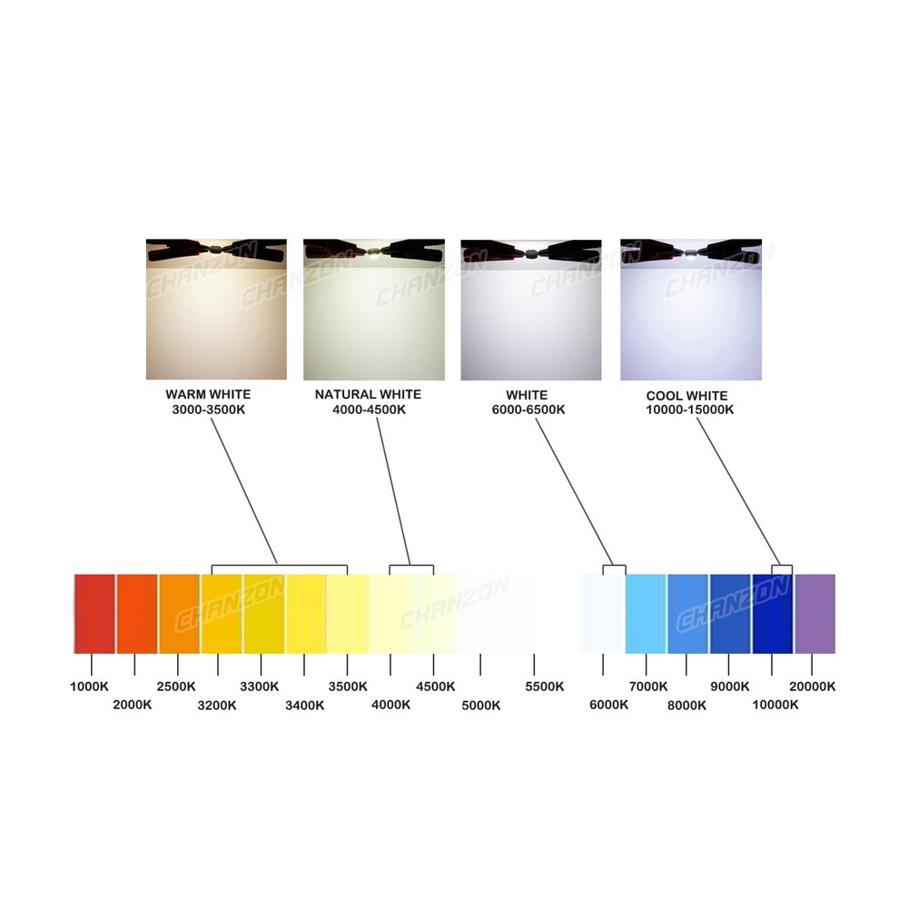 High Power Led Chip 1W 3W 5W 10W 20W 50W 100W Warm Natural Cold White Lamp Beads