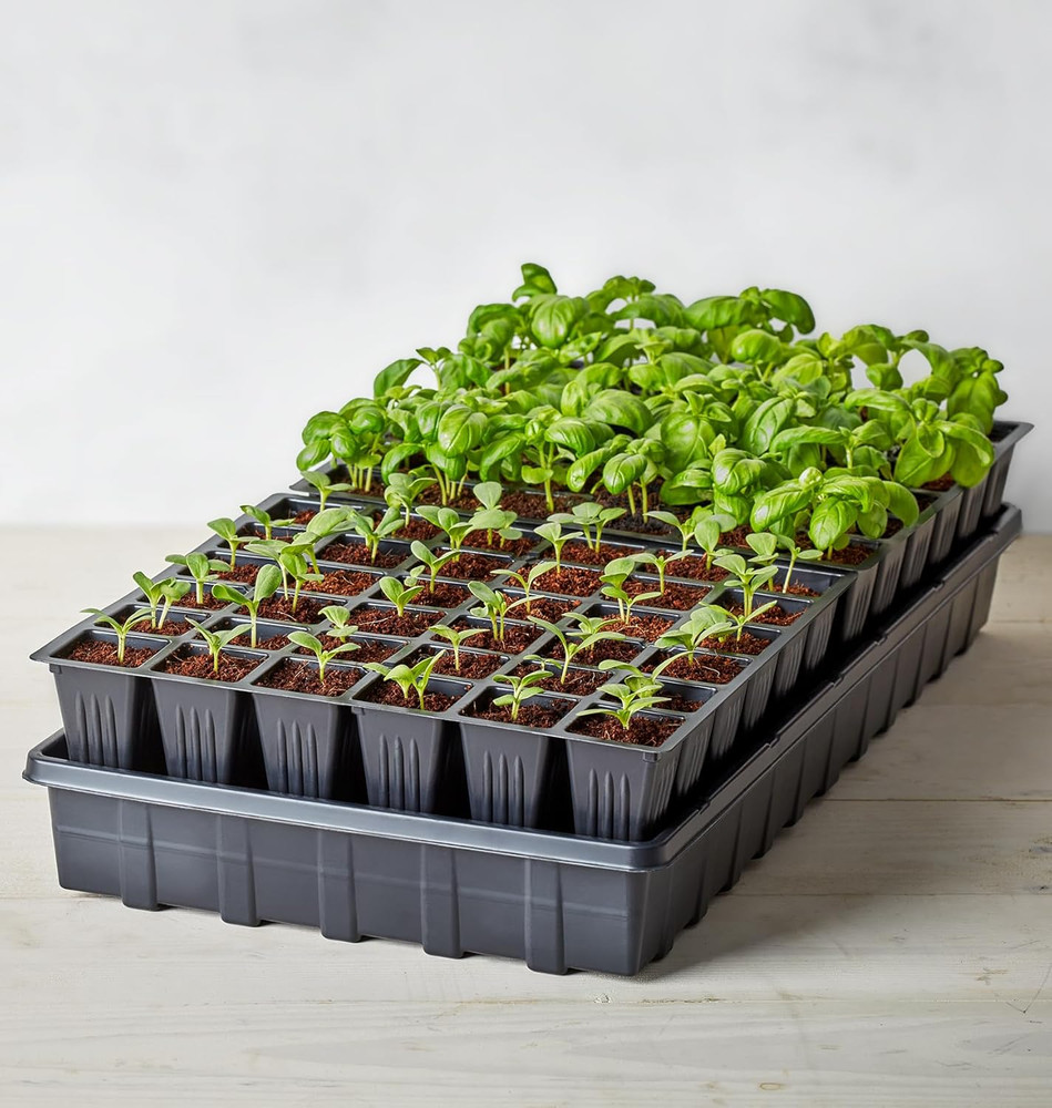 Self-Watering Seed Starter Tray, 72 Cells