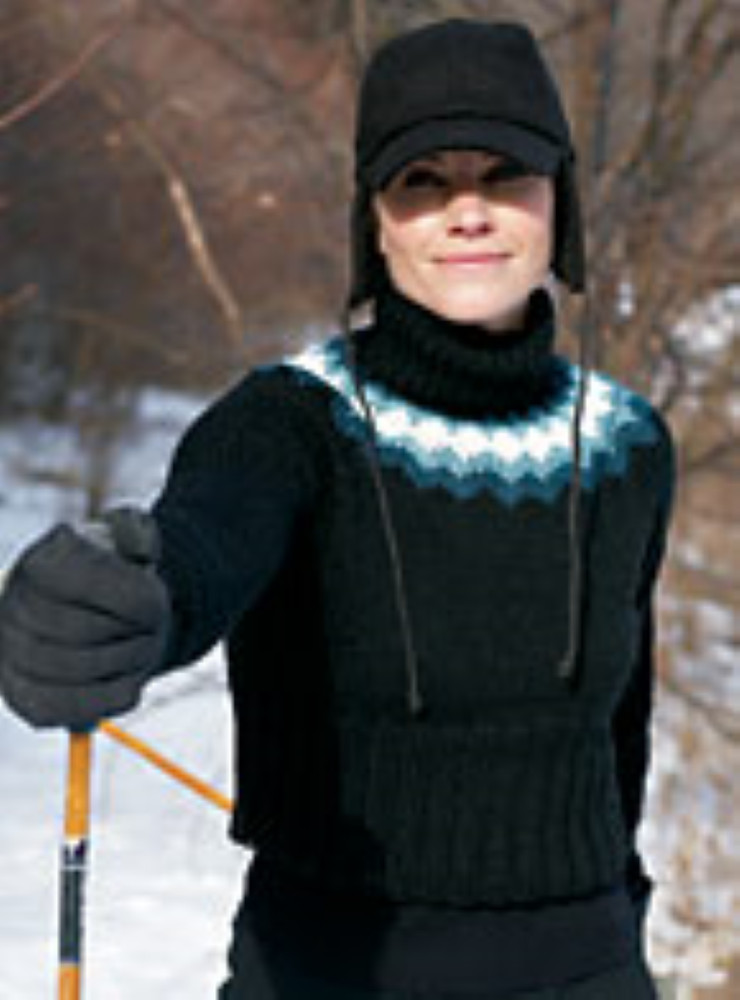 Snow Country Patons Pattern Book 500851