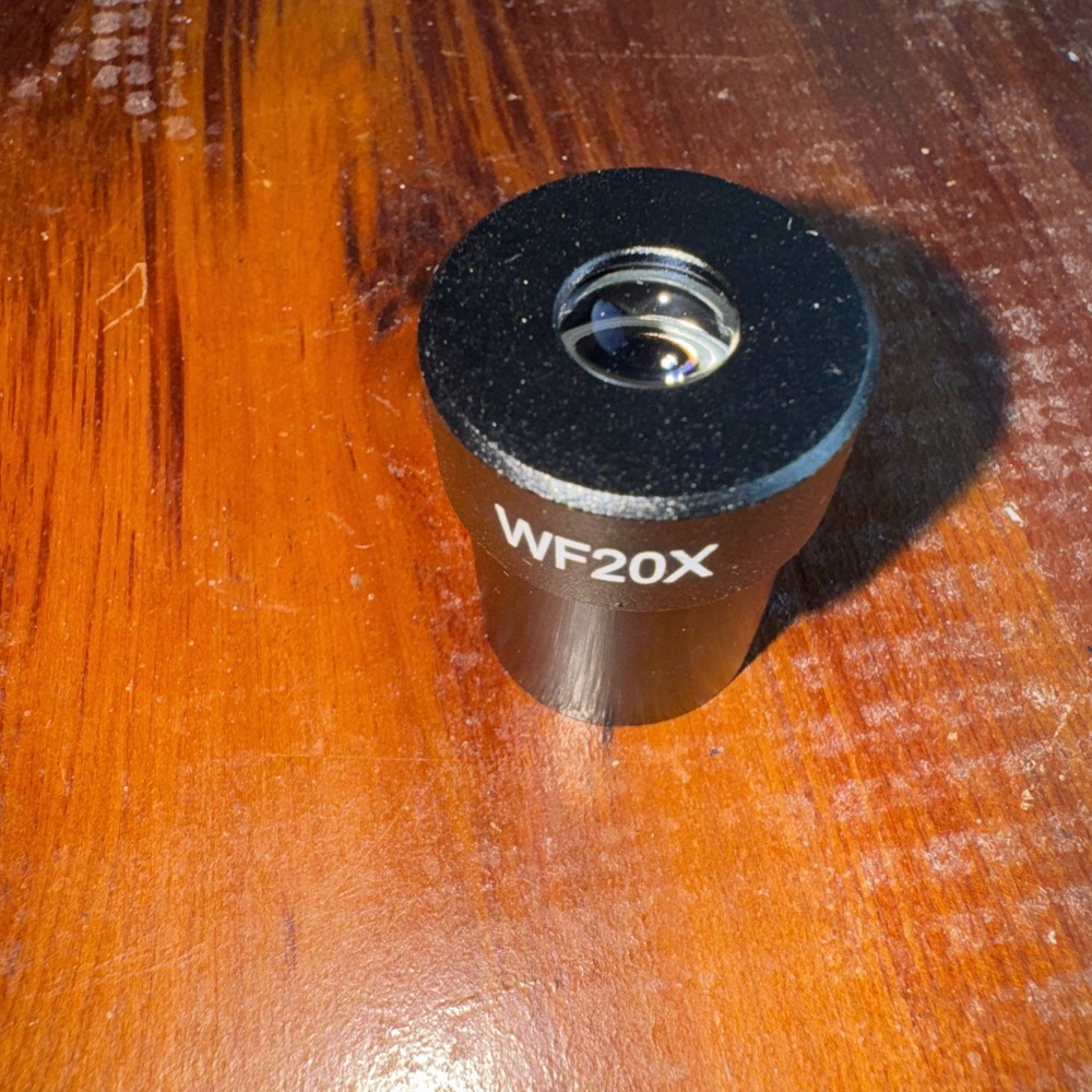 CELESTRON LABS CB2000C Compound Binocular Microscope with 5.5 x 5.5" Mechanical