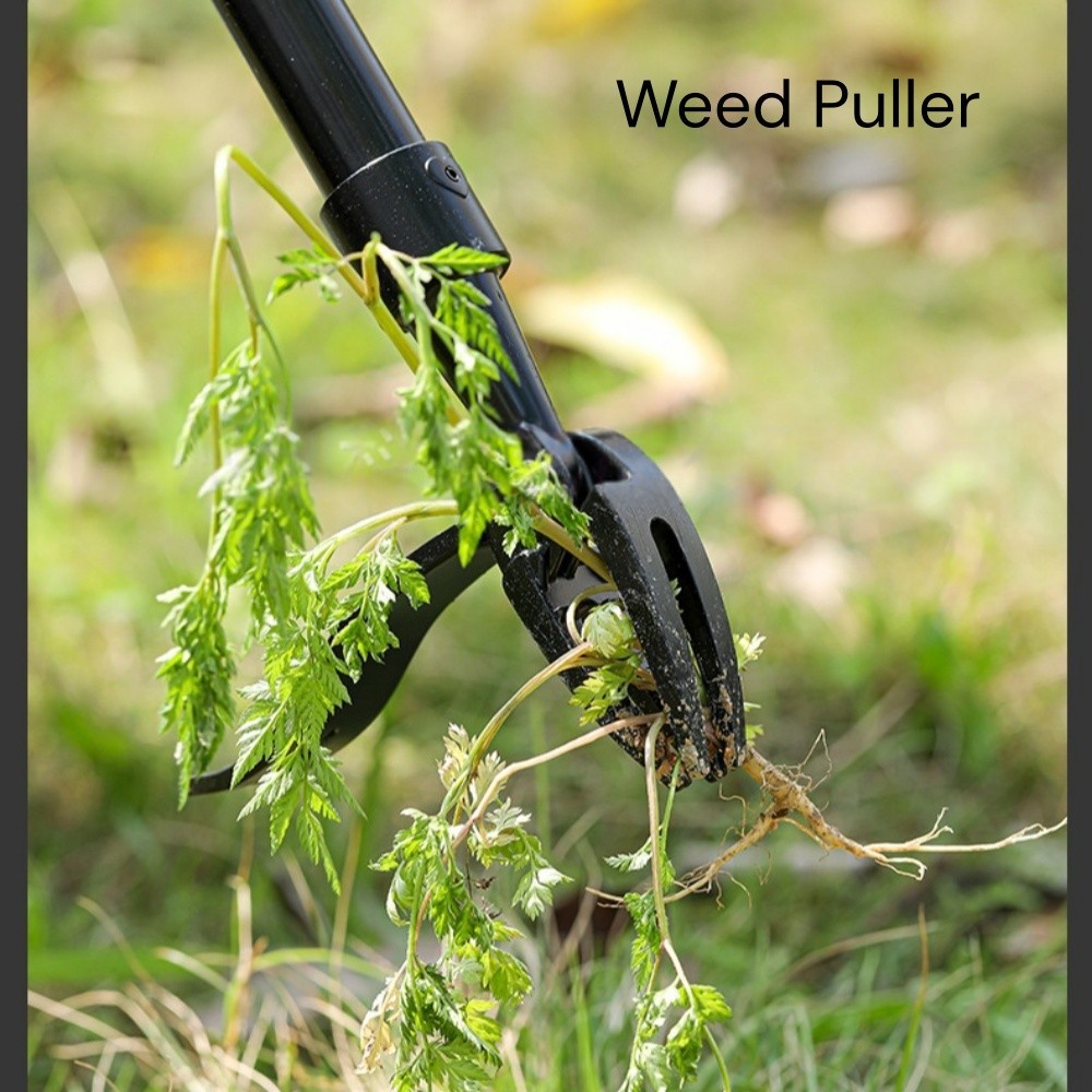 Weed Puller Tool Head, Manual Weed Remover Claw, No Pole, Root Remover for Lawn