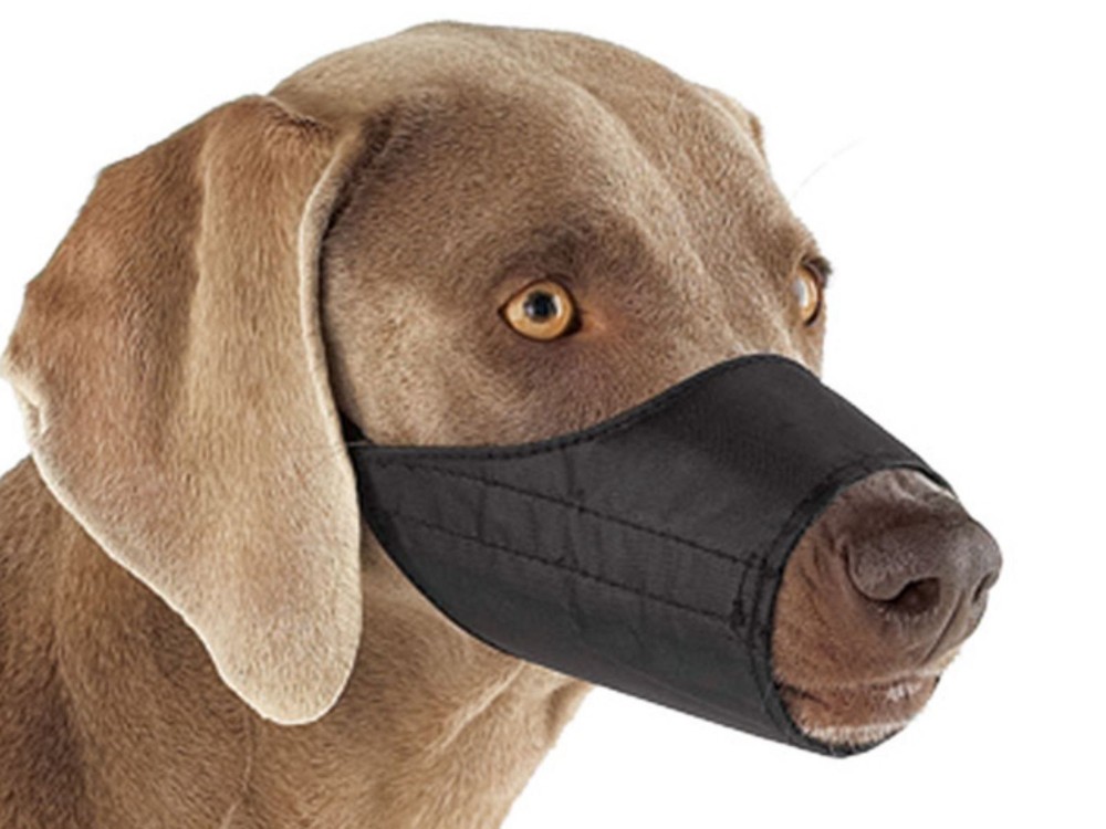 Quick-Release Nylon Dog Muzzle, Small J-169B