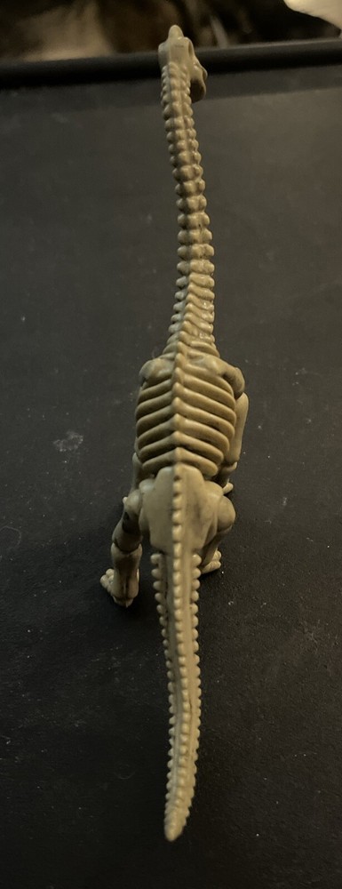 Brachiosaurus Dinosaur Skeleton PVC Figure Model 4.5” Tall 6.5” Long