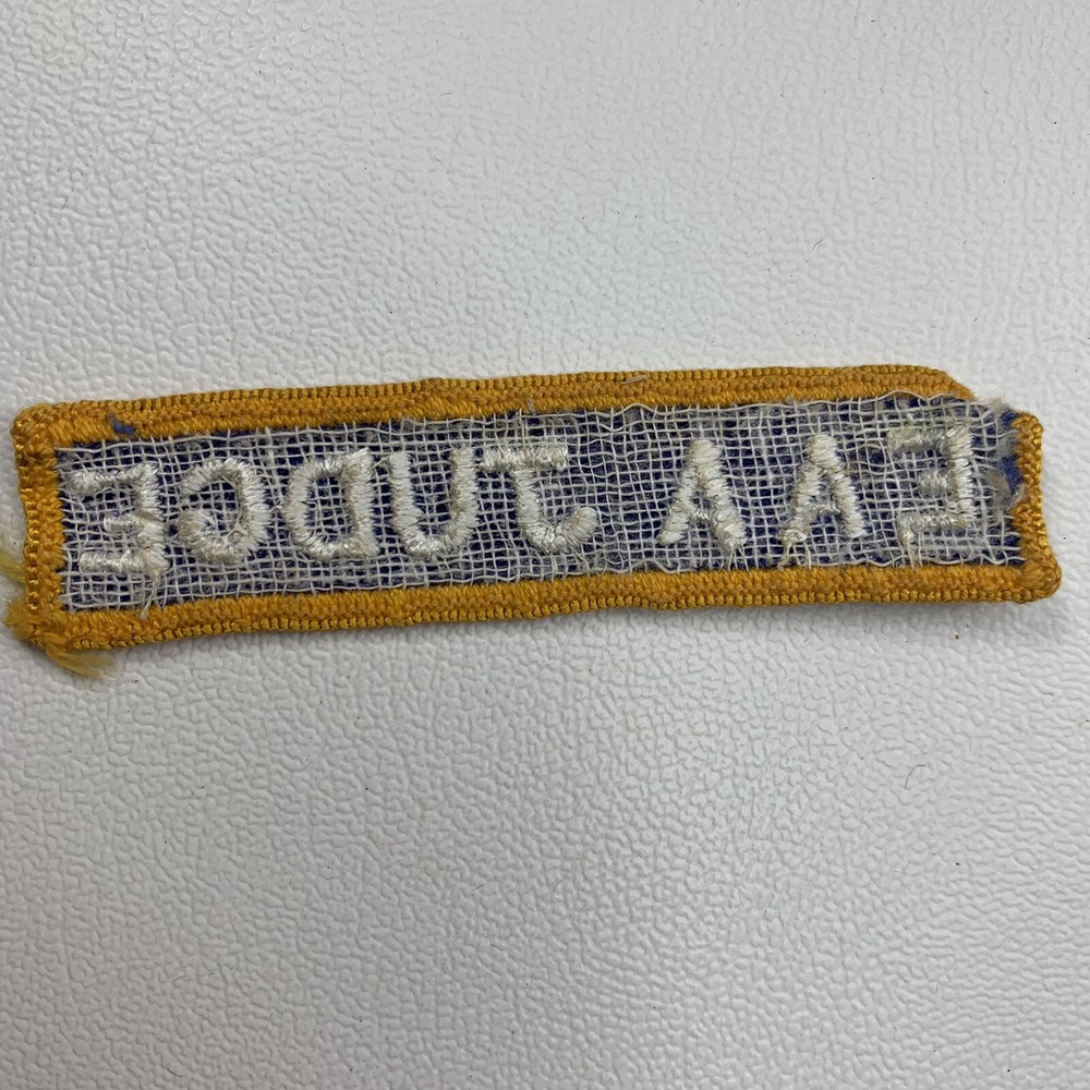 Airplane Related Experimental Aircraft Assoc. EAA JUDGE Patch 17M3