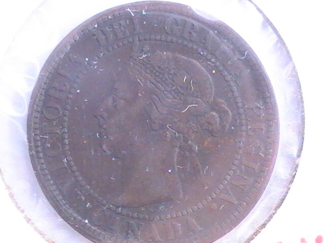 CANADA LARGE CENT 1901 COIN SCRATCHED ON OBVERSE