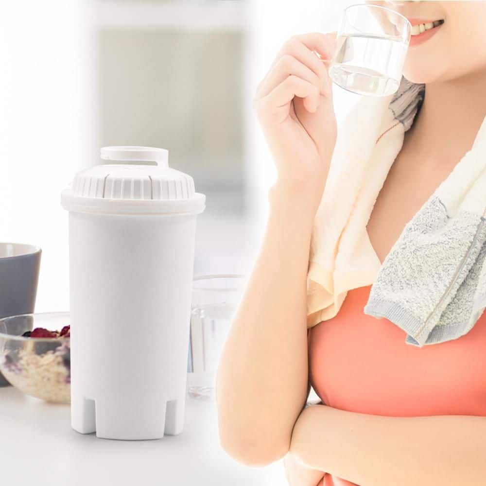 HDX Water Pitcher Replacement Water Filter Cartridges, BPA Free (8-Pack)