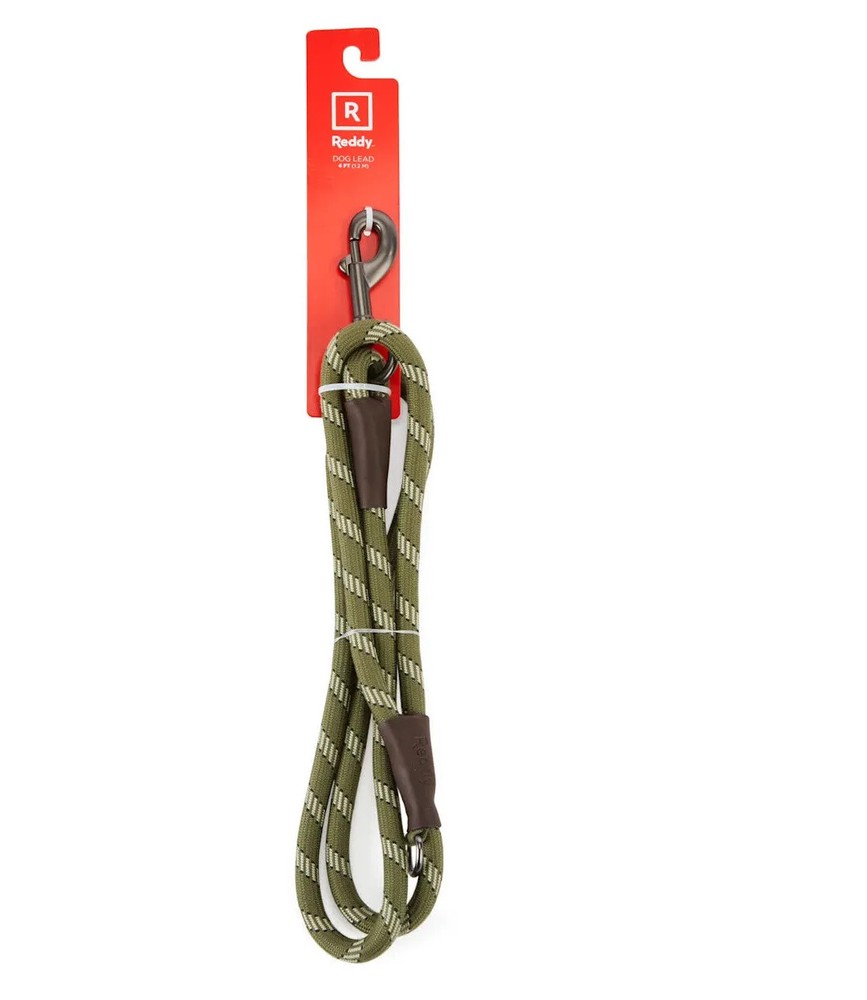 Reddy Small Dog Olive Leash, 4 ft. Original, Olive