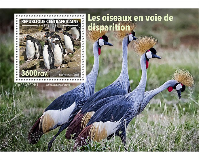 Endangered birds