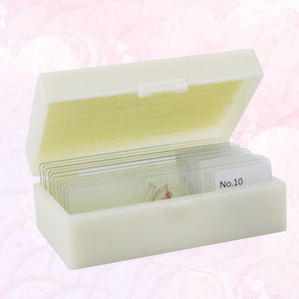 10 PCS/Set Glass Slides Microscope Preparation Kit Calibration Lab