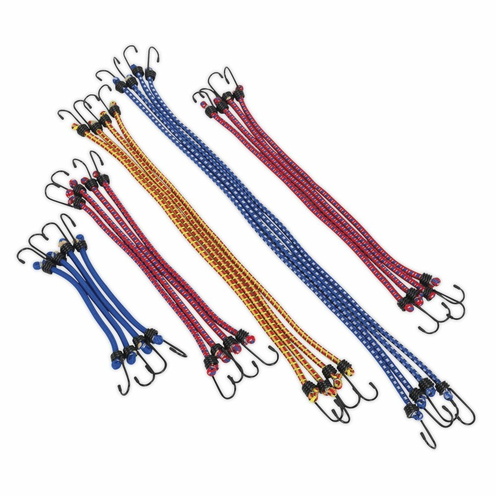 Sealey Elastic Cord Set 20pc Bungee Tie Down Workshop Garage Car