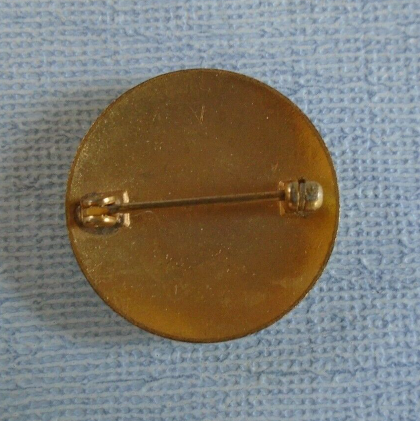 American Red Cross Volunteer enamel pin back button