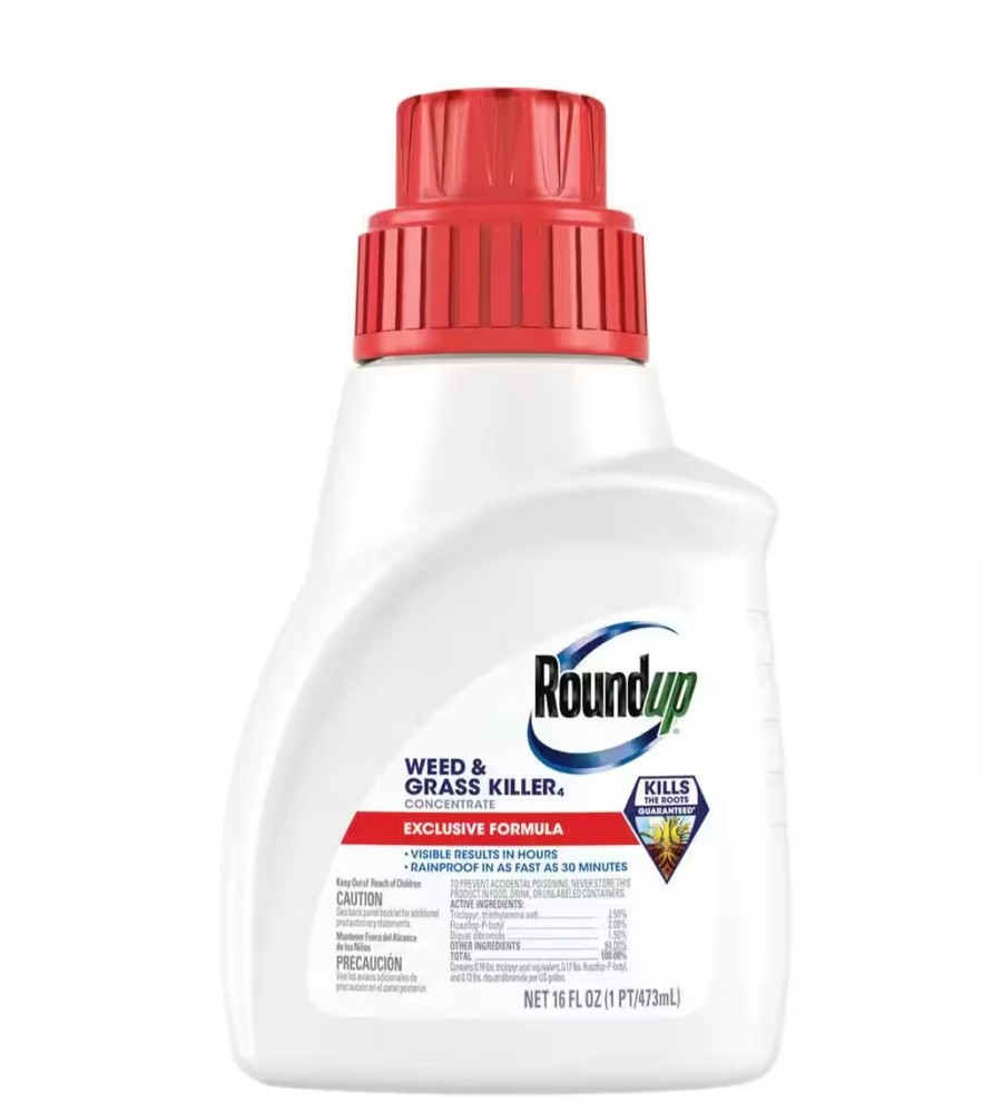 Roundup Weed/Grass Killer Concentrate- 16 fl. oz.