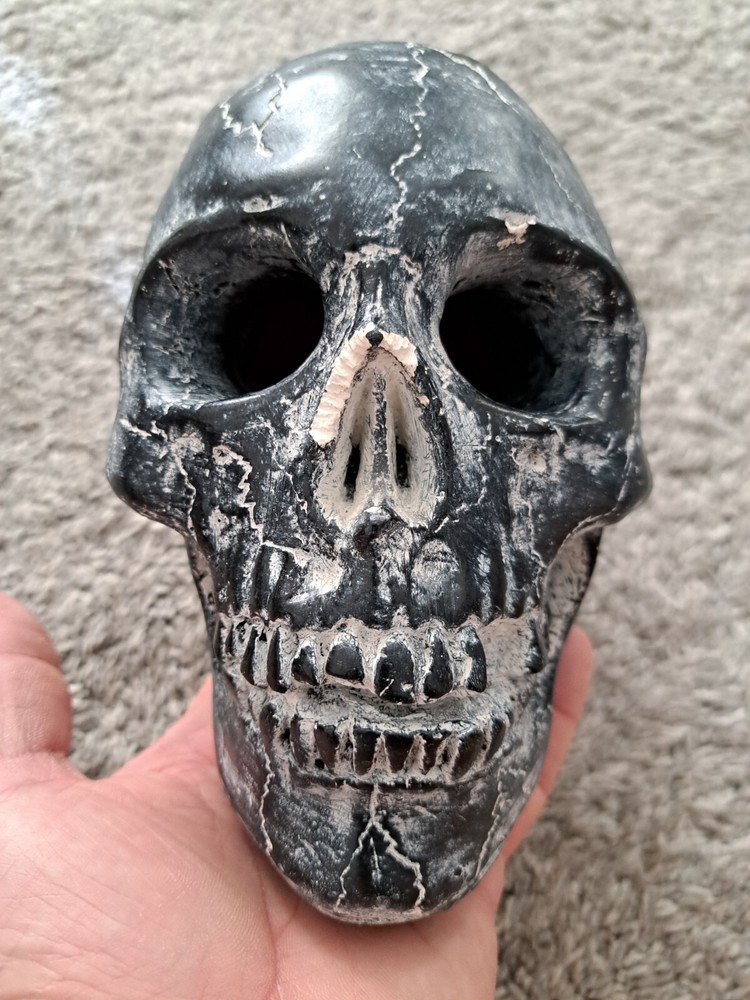 Skull