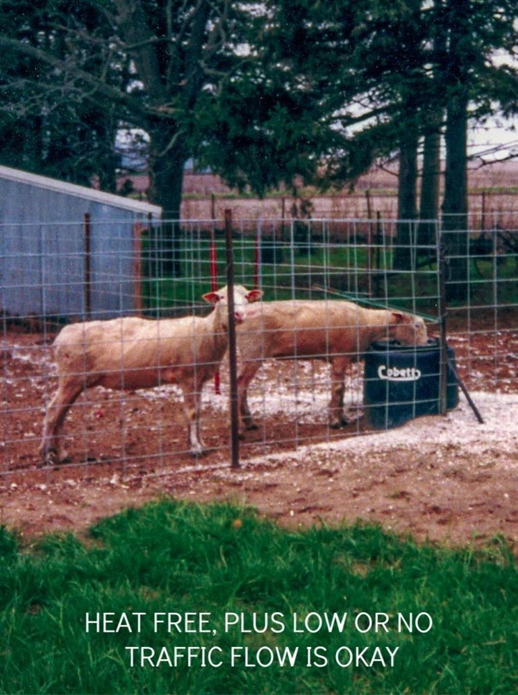 COBETT CATTLE WATER SMALL