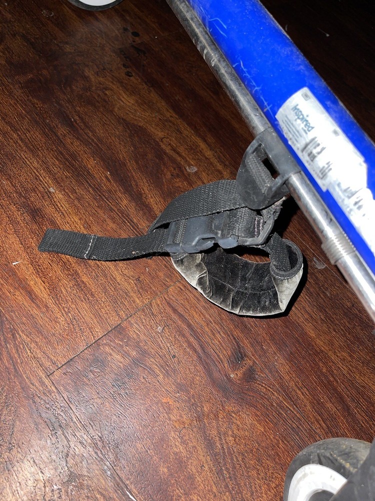 Moxie Gt Gate Trainer