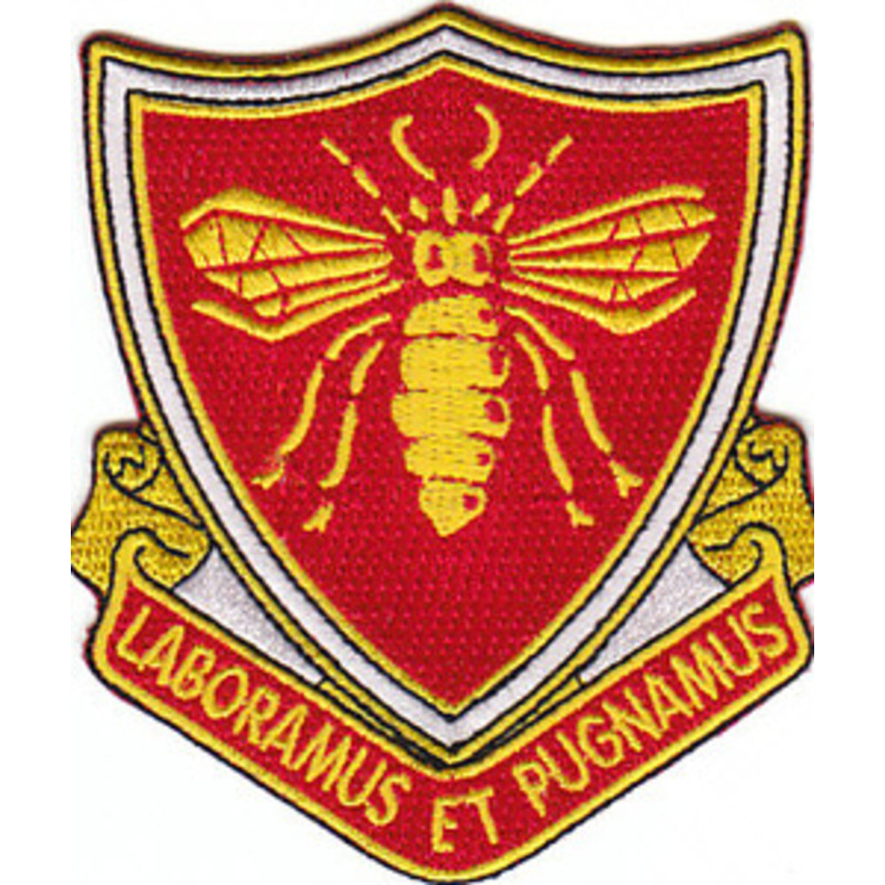 439th Engineering Battalion Patch