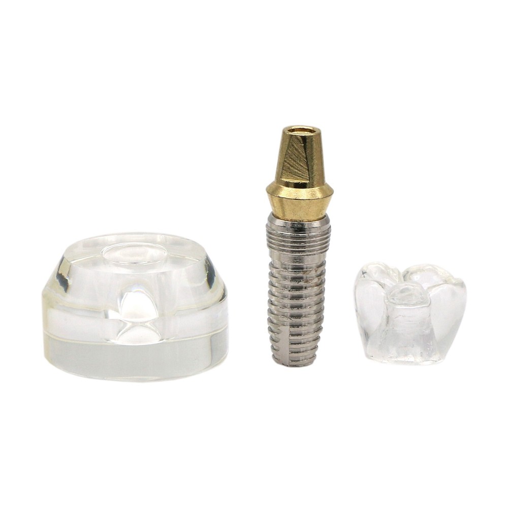 2.5X Dental Typodont Implant Teeth Model Study Teach Demonstration Model M2020