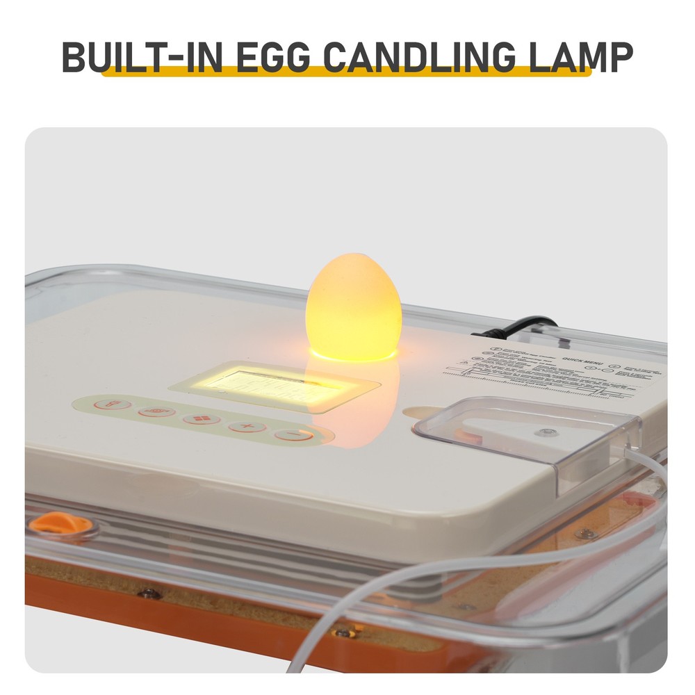 56 Egg Incubator with Automatic Egg Turning and Humidity Control 360° Viewing
