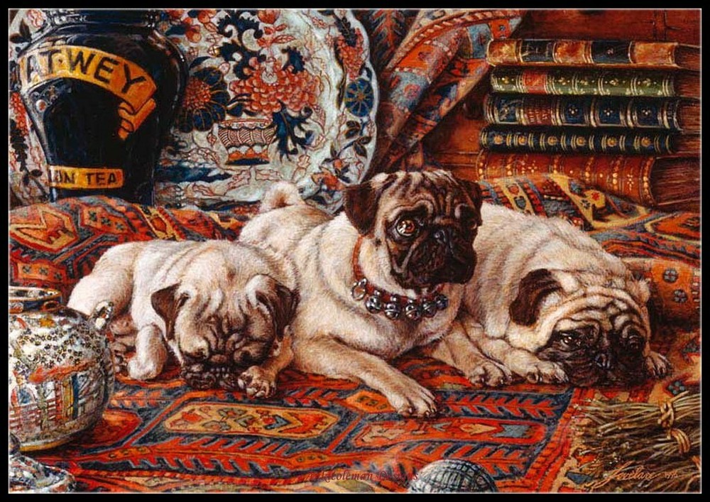 Three Pugs - Chart Counted Cross Stitch Patterns Needlework DIY DMC Color 14 CT