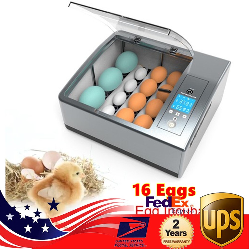 ✅16 Eggs Egg Incubator for Hatching Egg Full Automatic Turning Duck Chicken Egg
