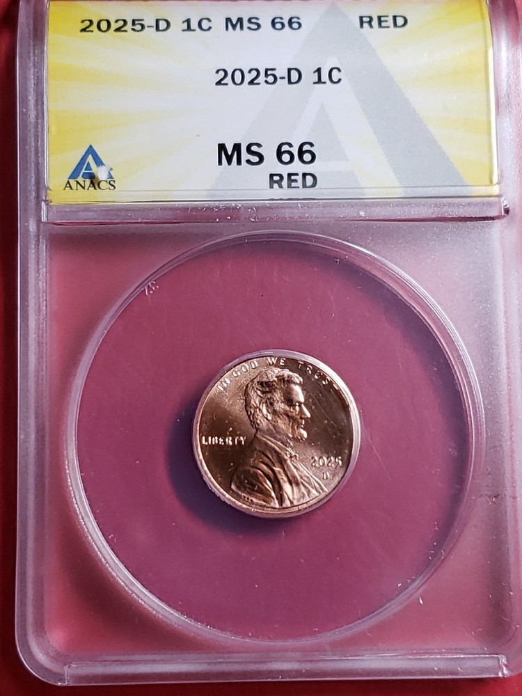 2025 D Lincoln Shield Cent ANACS MS66 Red