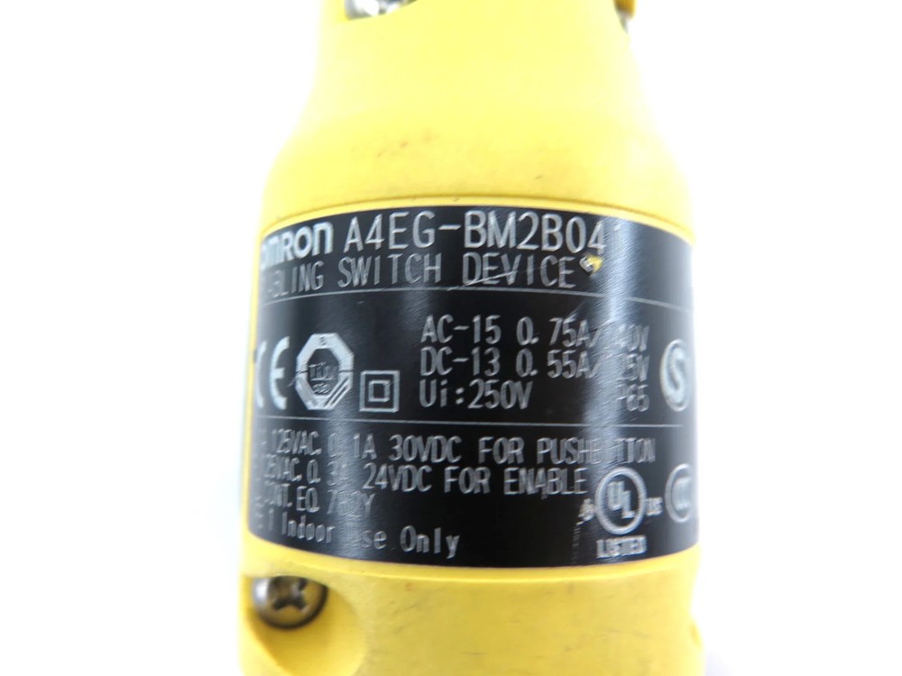 Omron A4EG-BM2B041 Enabling Switch Device