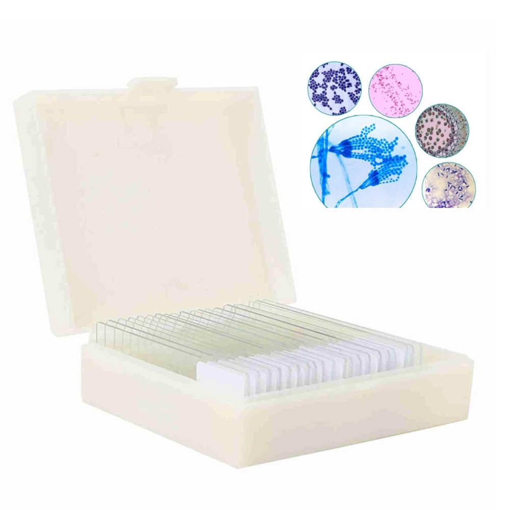 20pcs Microscope Slides Biology And Pathology Prepared Microbiological...
