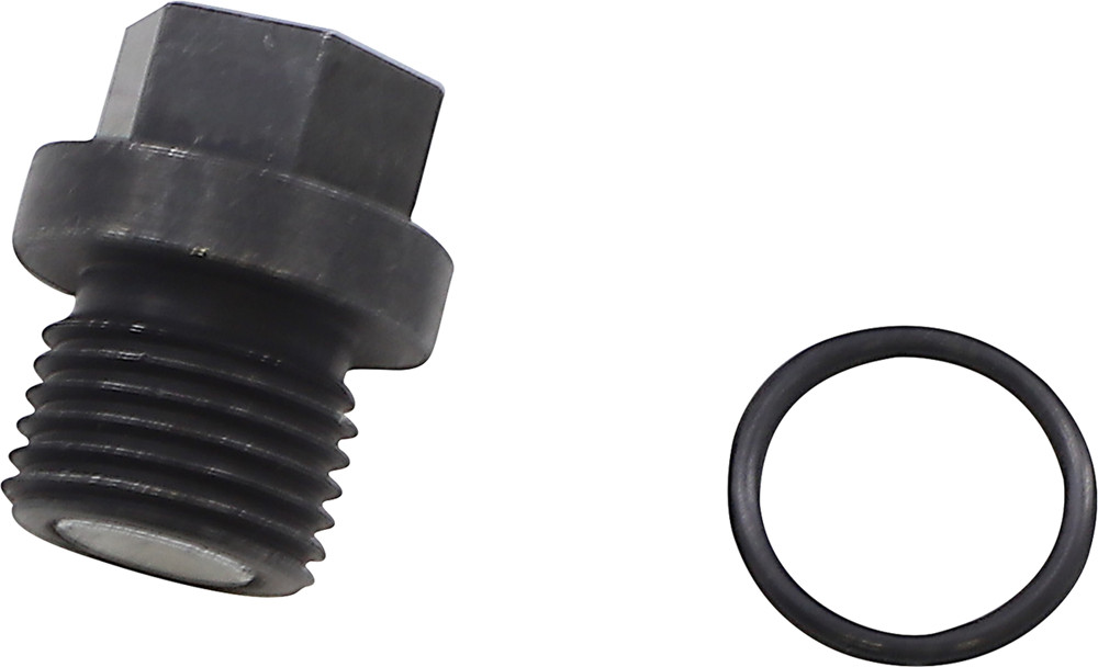 QUAD LOGIC Front Differential Drain Plug And O-Ring 100-2386