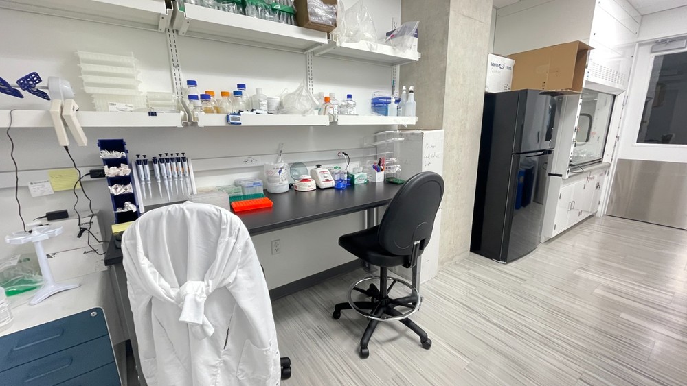 lab bench