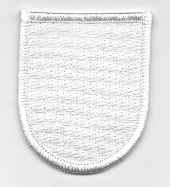 2.25" ARMY SPECIAL FORCES GROUP TRAINING FLASH EMBROIDERED PATCH