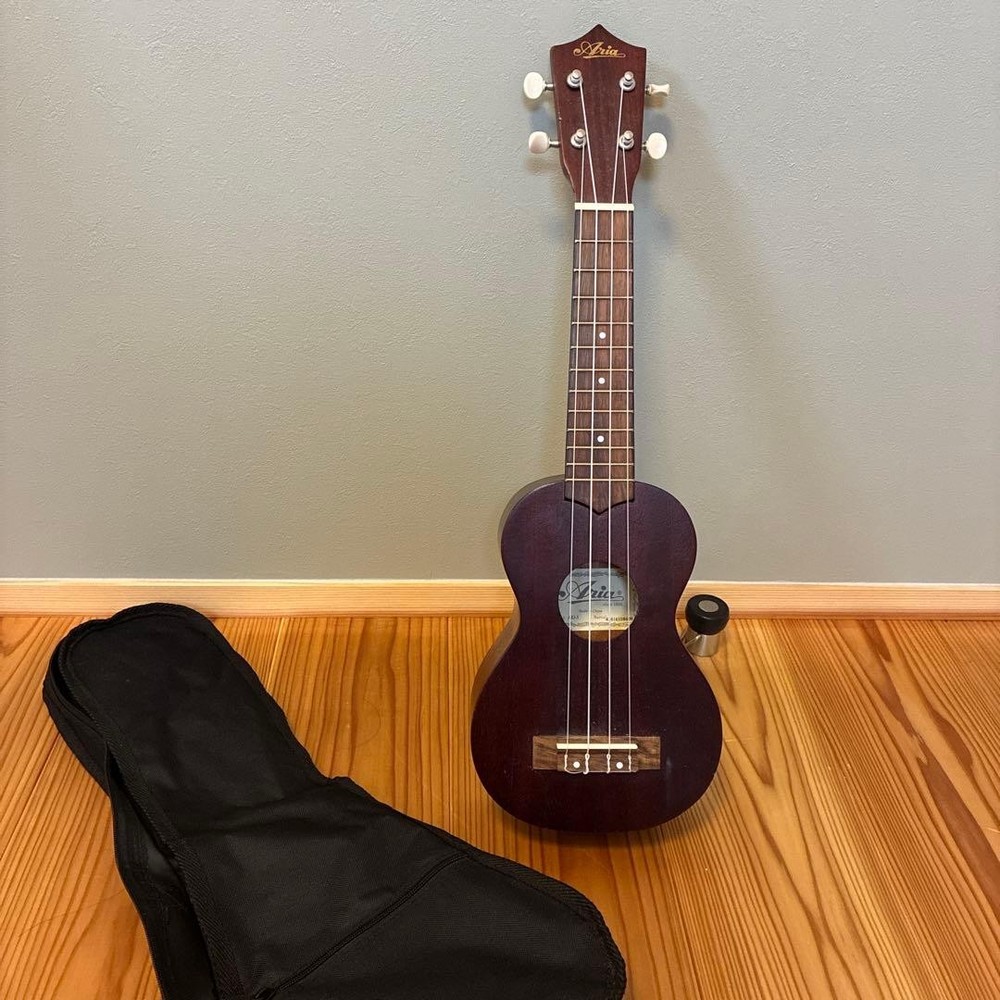 Aria dark brown ukulele with cover
