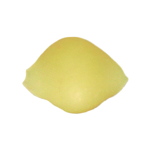 Arcobaleno AEX90 & AEX90M#162 Pasta Die