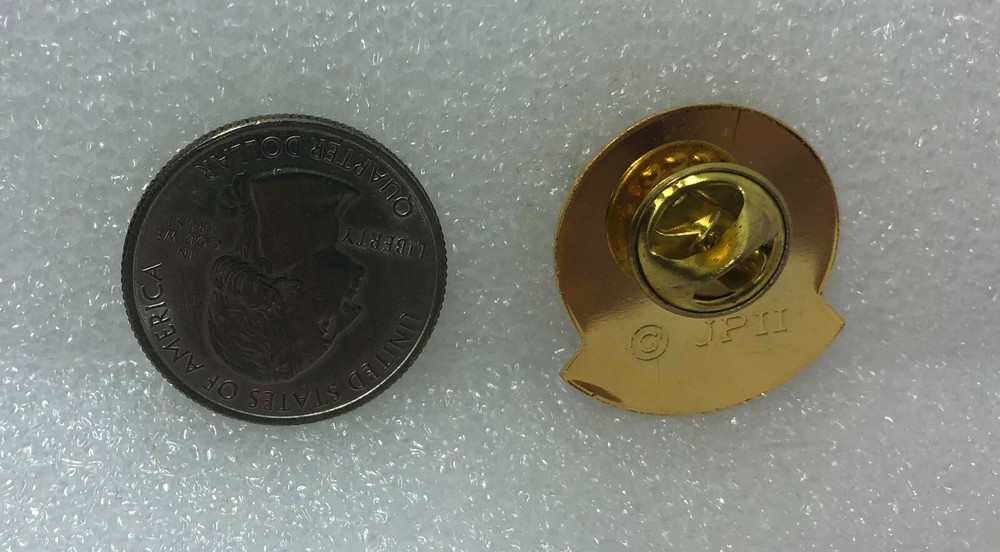 Catechist Religious Pin