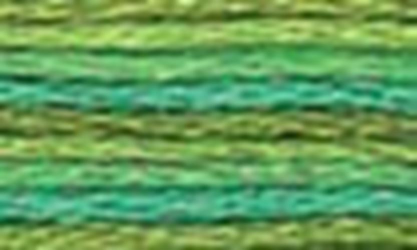DMC Color variations Floss