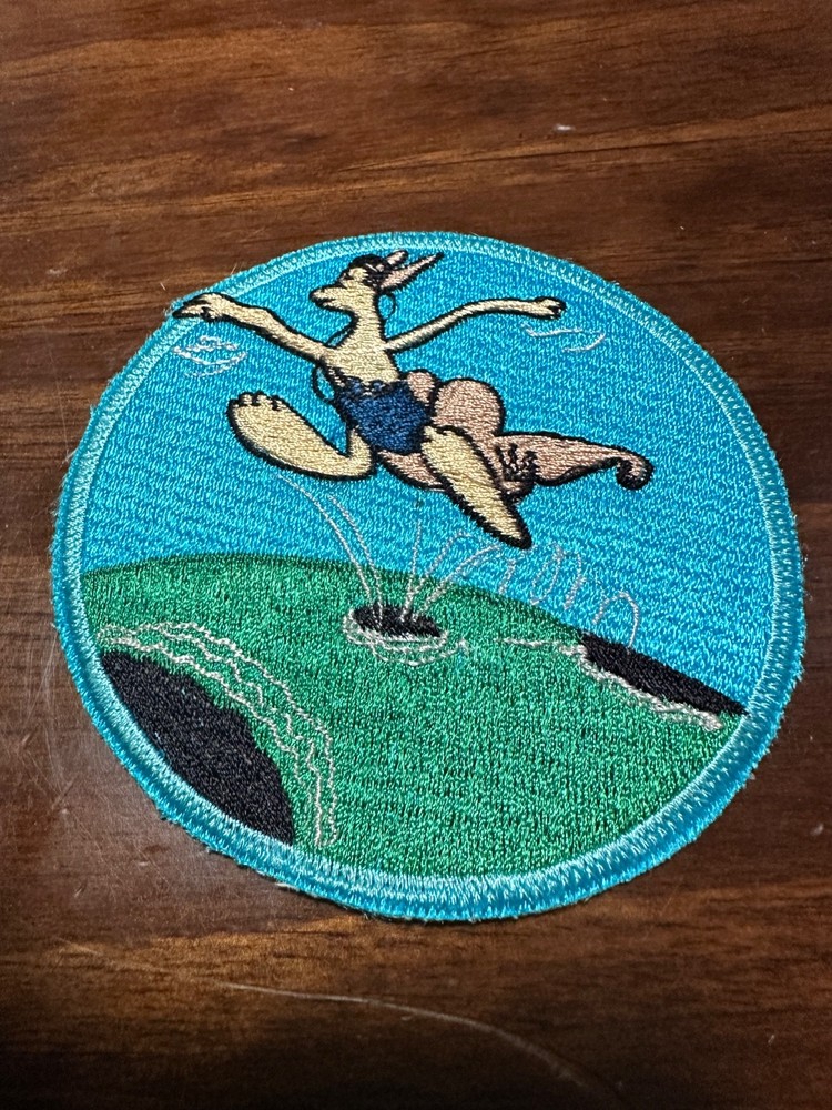Vintage USAF 28th Ferrying Squadron Patch