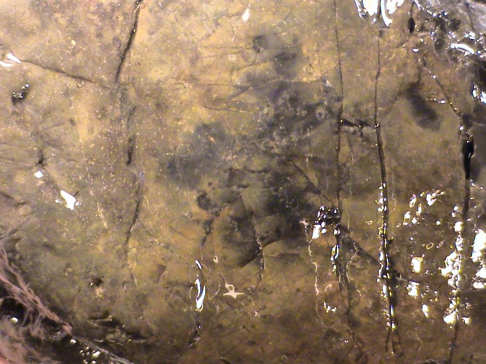 Black Chalcedony Jasper Agate, Solid Rough Lapidary Rock, 7 LBS, 6 OZ, #337