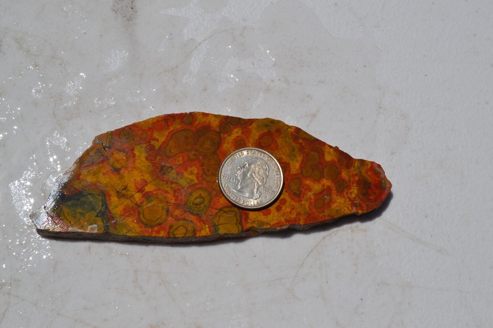 Morgan Hill Poppy Jasper Slab