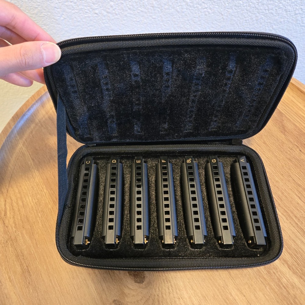 Piedmont Blues 7-Harmonica Set with Case