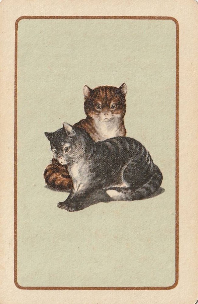 Two Cats, Pale Green Background (2),  Single Swap Card